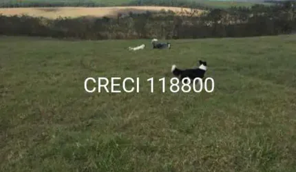 Chácara/Sítio para Venda Centro Salto de Pirapora