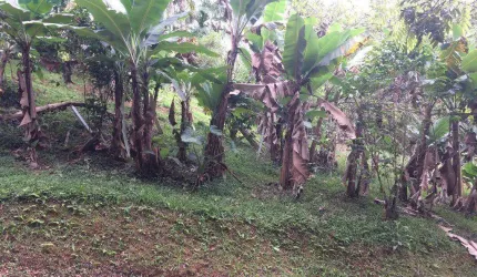 Terreno residencial à venda, Salto do Norte, Blumenau.