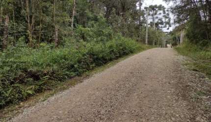 Chácara para Venda em Campina Grande do Sul, TIMBU VELHO