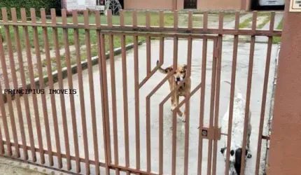 Casa para Venda em Campina Grande do Sul, JARDIM DA COLINA, 4 dormitórios, 1 suíte, 2 banheiros, 2 vagas