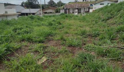 Terreno para Venda em Campina Grande do Sul, NOVO DAHER
