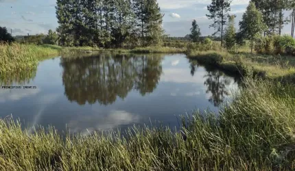 Chácara para Venda em Quatro Barras, Granja Das Acácias