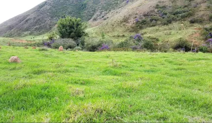 Sítio à venda no bairro Grama, em Juiz de Fora - MG