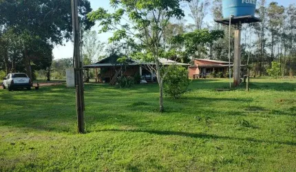 Fazenda para venda