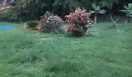 Terreno para Venda em Rio Bonito, Boqueirão
