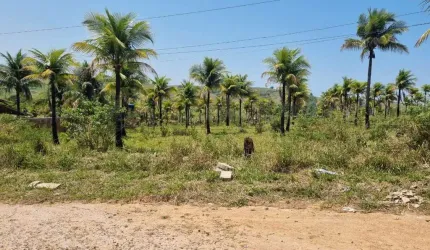 Terreno para Venda em Saquarema, Bicuíba