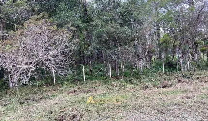 Terreno proximo a PR 407