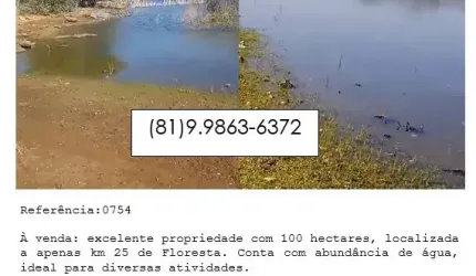 Propriedade com 100 hectares em Floresta-PE.