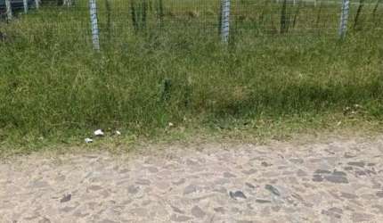 Terreno à venda no Bairro Curumim com 450 m² de área privativa