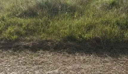 Terreno à venda no Bairro Curumim com 360 m² de área privativa