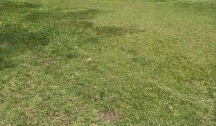 Terreno à venda no Bairro Curumim com 420 m² de área privativa
