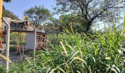 Terreno comercial à venda na Rua Latino Coelho, 344, Parque Taquaral, Campinas, 1097 m2 por R$ 1.800.000