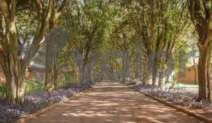 Terreno em condomínio fechado à venda na Avenida Haras Patente, s/n, Residencial Haras Patente, Jaguariúna por R$ 590.000