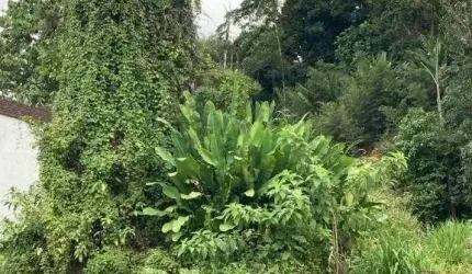 TERRENO no COSTA E SILVA com 0 quartos para VENDA, 490 m²