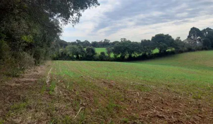 EXCELENTE CHACARA COM 56.000 M2 SEM BENFEITURIA PIRAQUARA 650.000,00