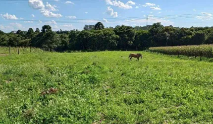 EXCENTE CHACARA COM 7.800 M2 SEM BENFEITURIAS  C.LARGO DA ROSEIRA 550.000,00
