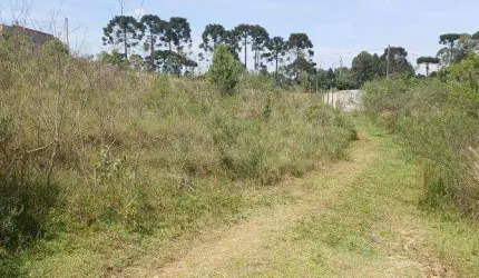 EXCENTE AREA RURAL COM 1700 M2 C.LARGO DA ROSEIRA 190.000 SEM BENFEITURIAS