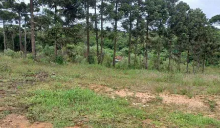 EXCENTE CHACARA COM 5.000 M2 SEM BENFEITURIAS 330.000 CAMPO LARGO DA ROSEIRA