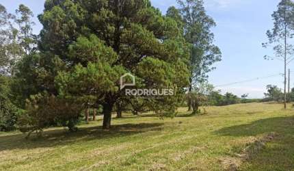 Chácara / sítio à venda na Estrada Morro do Paula, 3800, São Borja, São Leopoldo por R$ 2.000.000
