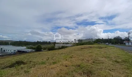 Terreno à venda na Avenida Vereador Adão Rodrigues de Oliveira, 3624, Ideal, Novo Hamburgo por R$ 8.000.000