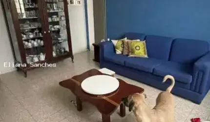 Apartamento para Venda em Salvador, Canela, 3 dormitórios, 2 suítes, 4 banheiros
