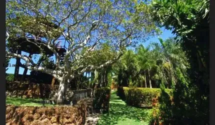 Haras para Venda em Camaçari, Barra do Jacuípe, 3 dormitórios, 1 suíte, 7 banheiros, 50 vagas