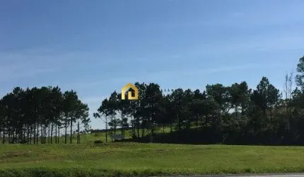 Área Comercial à venda na Rodovia Castelo Branco!!!
