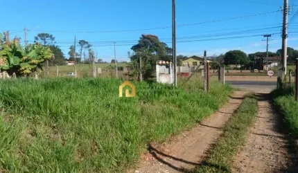 Terreno na Rodovia Raposo Tavares com 30 metros de frente - Araçoiaba da Serra SP