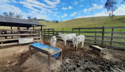 SÍTIO EM PINHALZINHO SP.