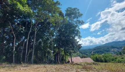Terreno à venda, Dom Joaquim - Brusque/SC