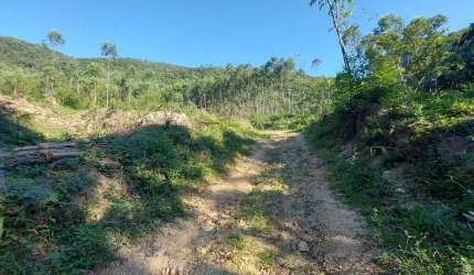 Chácara / Sítio à venda, Cedro Grande - Brusque/SC