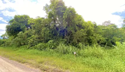 Terreno a venda na Guabiruba
