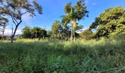 Terreno Amplo no Bairro São Pedro em Guabiruba
