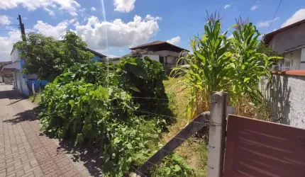 Terreno para aluguel, Santa Rita - Brusque/SC