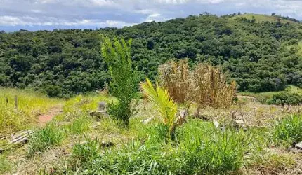 Chácara com 2 dormitórios à venda, 1200 m² por R$ 200.000,00 - Granjas Rurais Reunidas São Judas Tadeu - Taubaté/SP