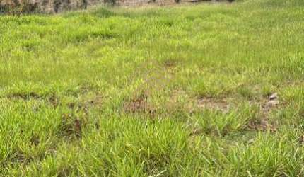 TERRENO NO CONDOMÍNIO TERRAS DE SÃO CARLOS EM JUNDIAÍ- SP