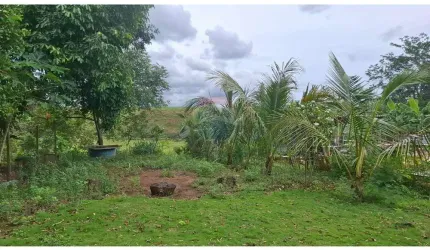 Oportunidade Imperdível! Chácara em Serra – 15 Minutos das Praias de Jacaraípe