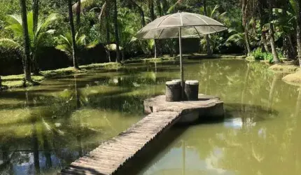 Sambaetiba-Sítio 15.000 m², Casa 2 Qts, 2 Lagos - R$ 850 Mil