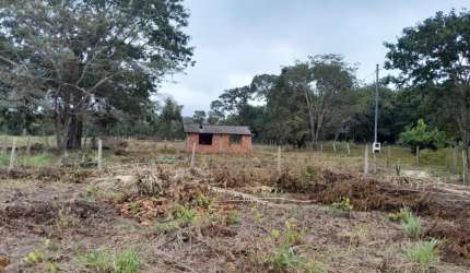 Lindo Sítio a Venda em Agrovila das Palmeiras