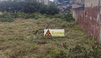 Atenção Construtoras Terreno à venda, 2334 m² por R$ 14.000.000 - Vila Guilherme - São Paulo/SP