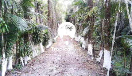 Área no Litoral do Paraná - Guaraguaçú a 07 Km do Balneário Praia Leste