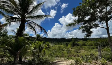 Chácara em Vale Verde