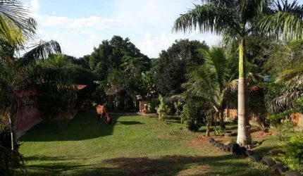 Chácara para Venda em Presidente Prudente, GRAMADO 6KM DO SESI, 3 dormitórios, 1 banheiro, 5 vagas