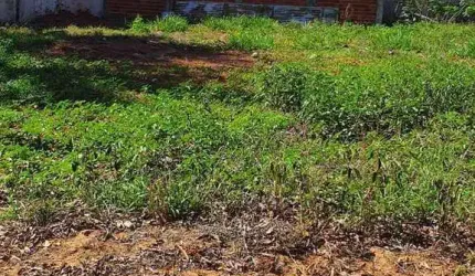 Terreno em Condomínio para Venda em Paulicéia, CONDOMÍNIO RESIDENCIAL ILHA TIBIRIÇA