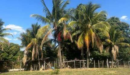 Chácara para Venda em Pirapozinho, CHACARA EM PIRAPOZINHO, 3 dormitórios, 1 banheiro, 1 vaga