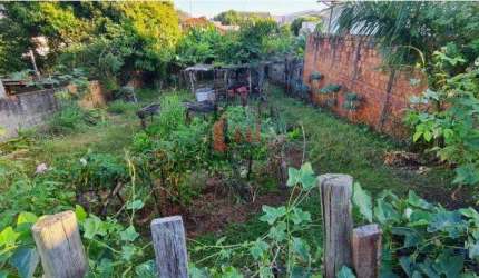 Terreno para Venda em Pirapozinho, Vila Marques