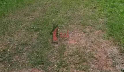 Terreno para Venda em Álvares Machado, JARDIM HORIZONTE