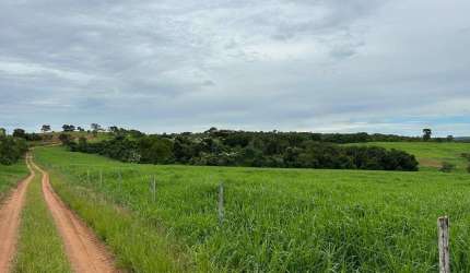 Fazenda em Camapuã MS