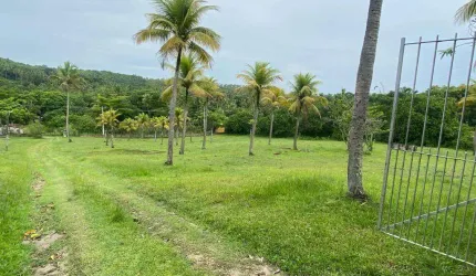 Chácara à venda, 25000 m² por R$ 2.200.000,00 - Umbura - Igarassu/PE
