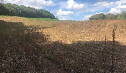 TERRENO DE 42.000M2